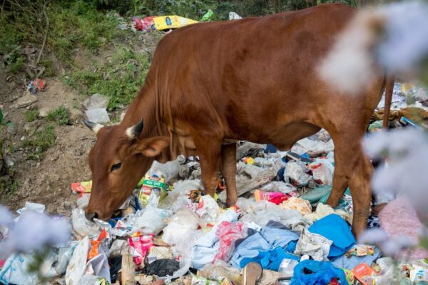 Journey of India through the trash