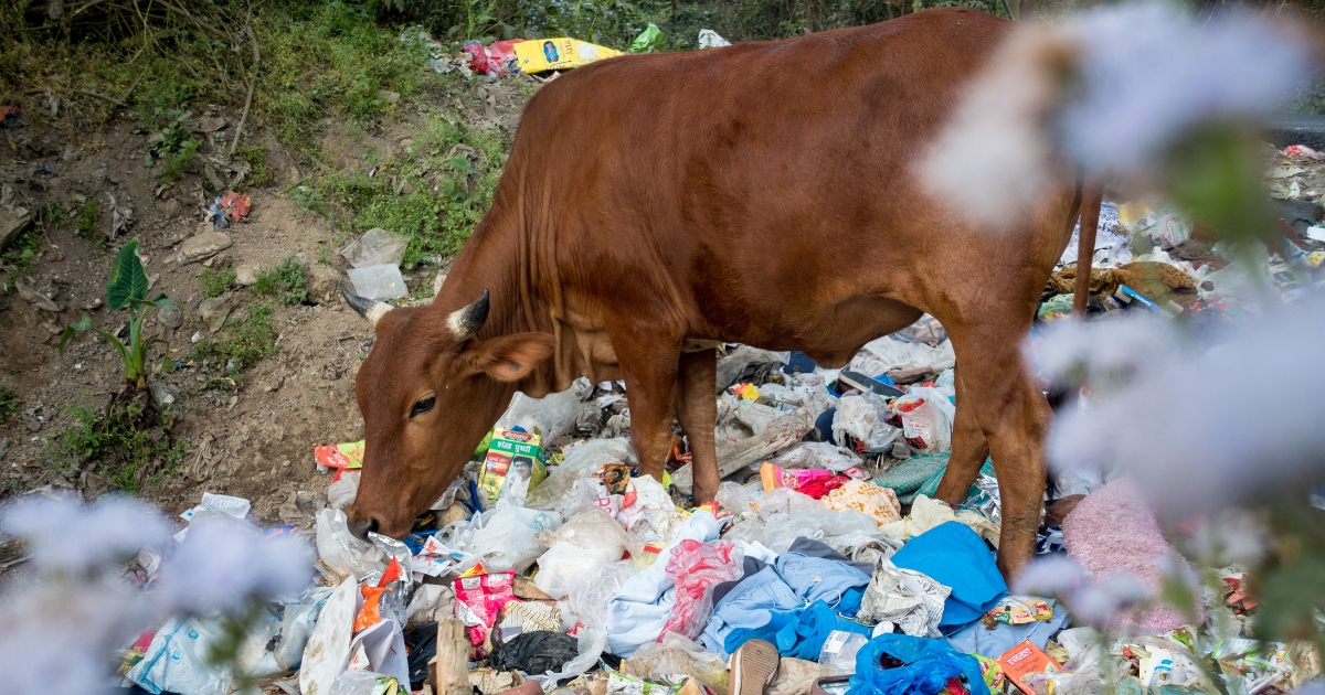 Journey of India through the trash