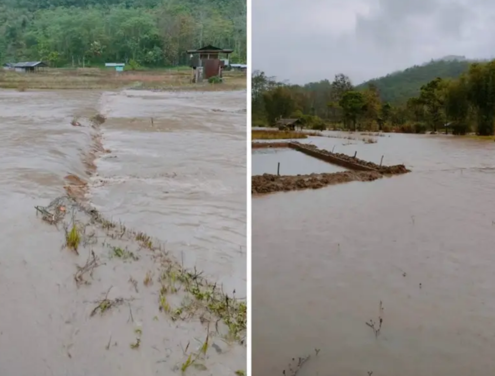 Flood destroys crops in Longsa, Mokokchung