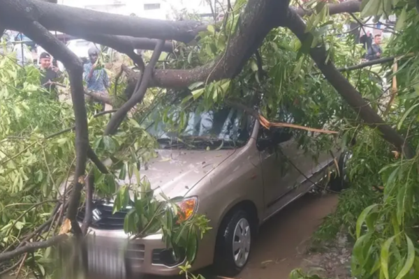 Dimapur battered by fierce storm, leaving trail of destruction