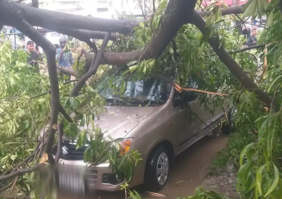 Dimapur battered by fierce storm, leaving trail of destruction