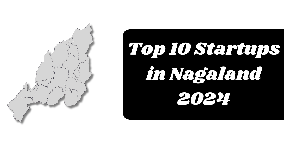 Top 10 Startups in Nagaland