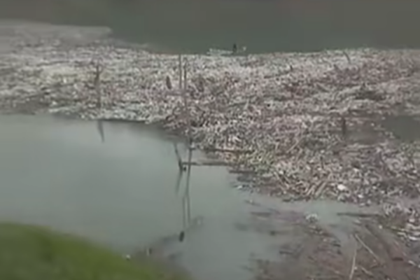 Doyang Dam Faces ecological catastrophe as plastic waste accumulates