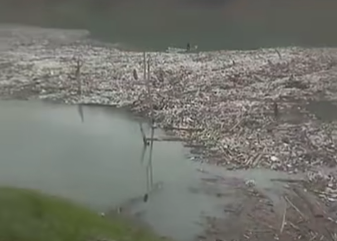 Doyang Dam Faces ecological catastrophe as plastic waste accumulates