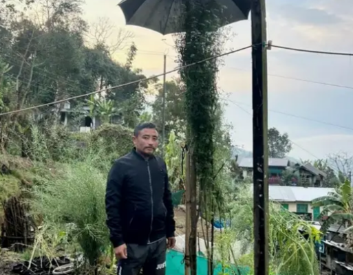 Nagaland's Yilobemo Erui's coriander plant sets Guinness World Record